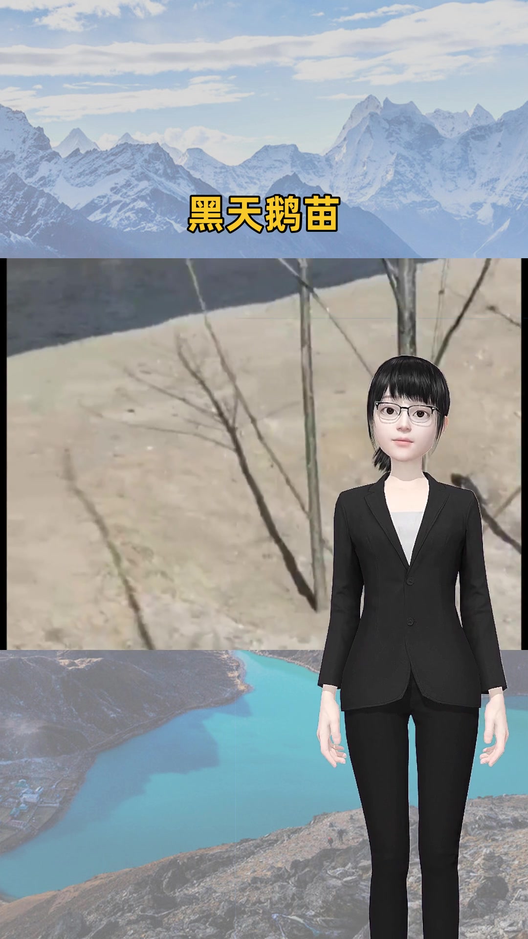 有没有选择黑天鹅养殖基地