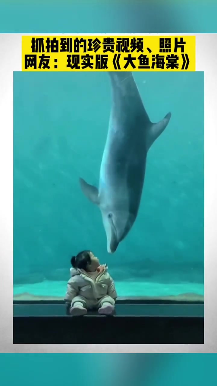 珍贵视频和照片:现实版大鱼海棠。大鱼海棠