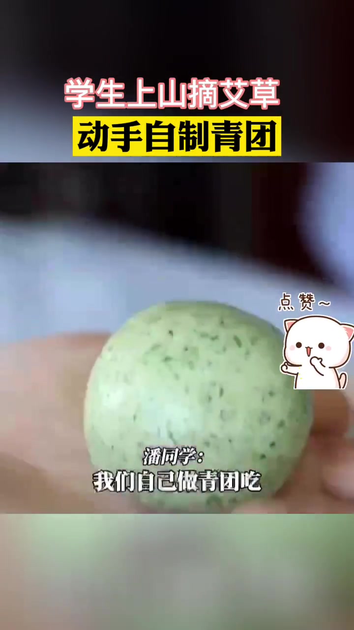学生上山摘艾草自制青团 青团 清明