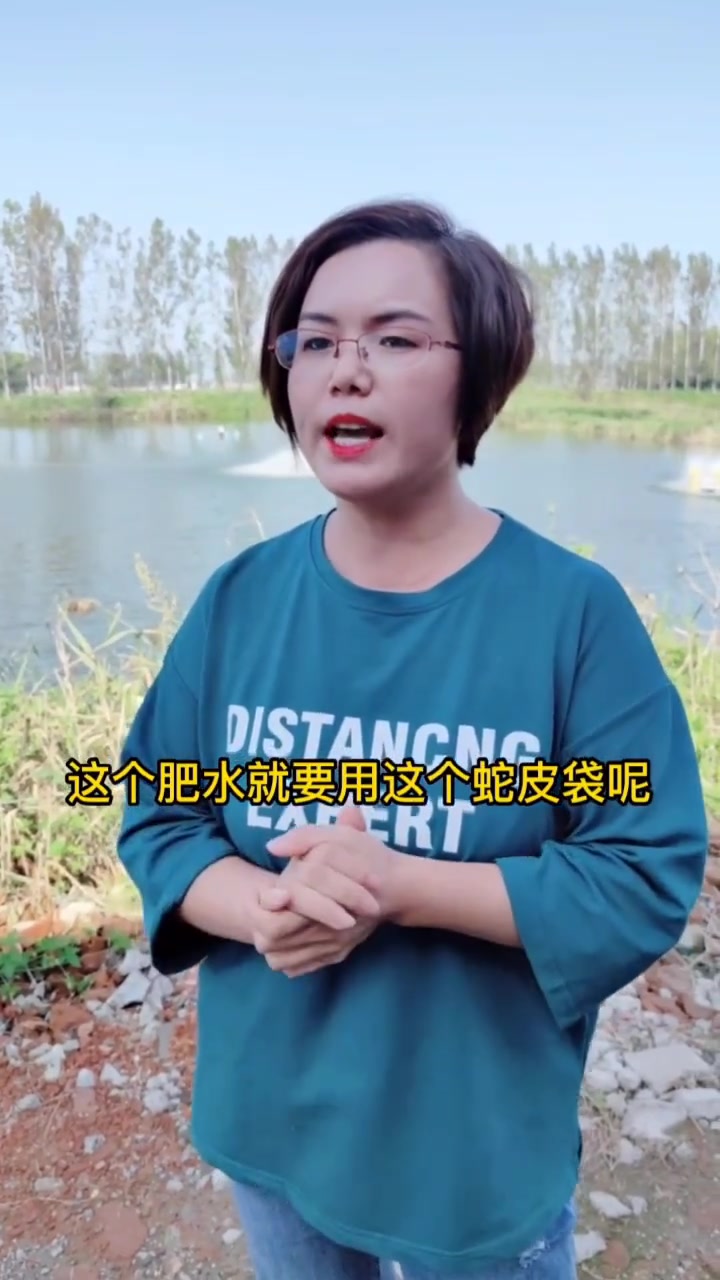 鸡粪肥水养殖大头鱼