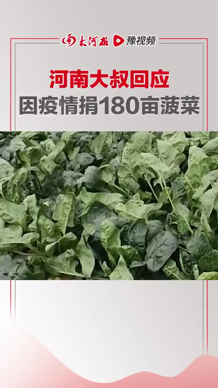 河南大叔回应因疫情捐180亩菠菜:菜没打农药,付采摘费和运费即可