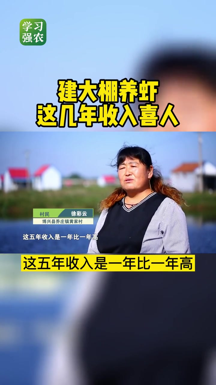 建大棚养虾这几年,收入挺喜人呀 养虾