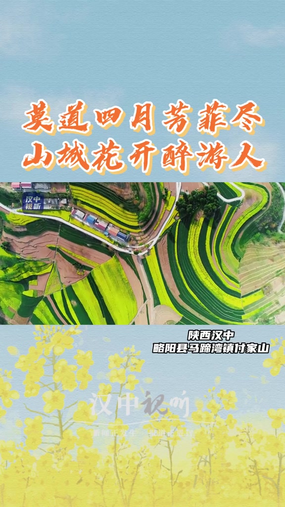 莫道四月芳菲尽,山城花开醉游人。汉中略阳,马蹄湾镇付家山的百亩油菜花正灿烂绽放。汉中 油菜