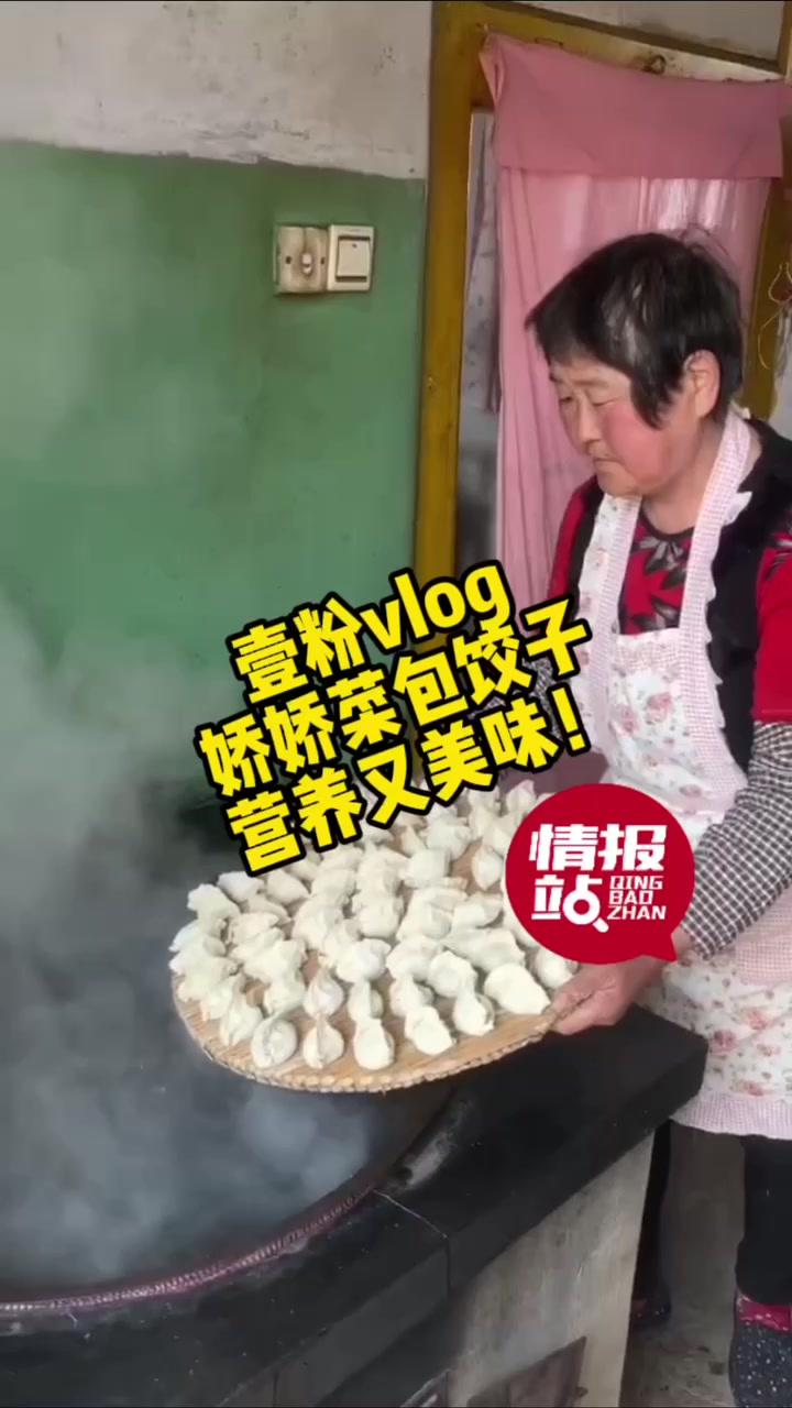 4月8日最佳情报|娇娇菜包饺子你吃过吗?壹粉视频分享获红包