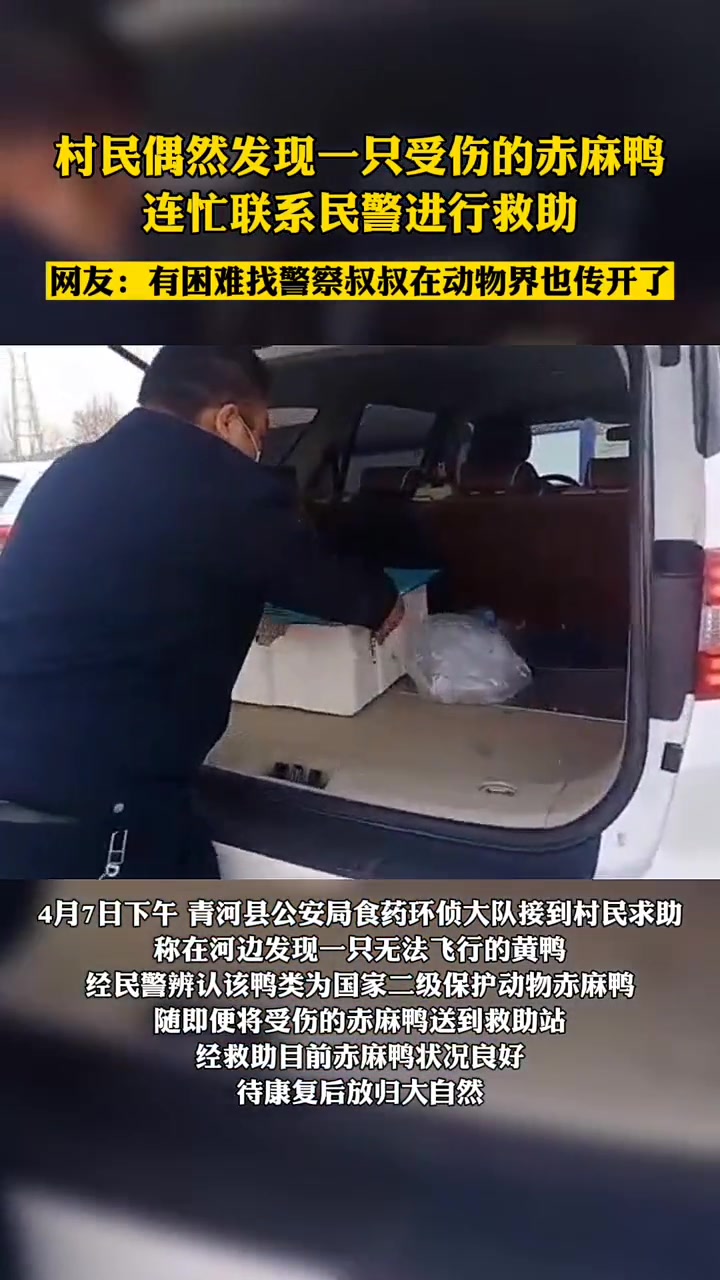 鸭鸭:有困难找警察叔叔准没错!保护动物 救助
