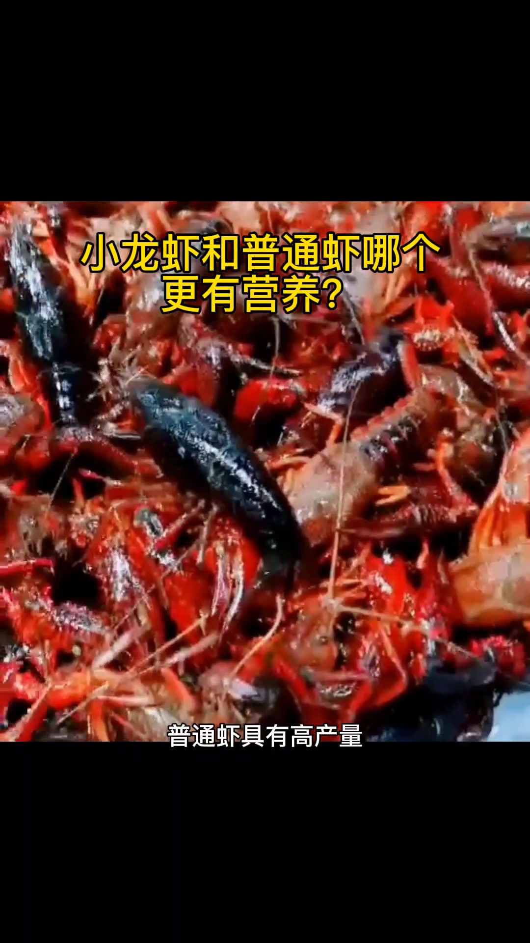小龙虾和普通虾哪个更有营养?