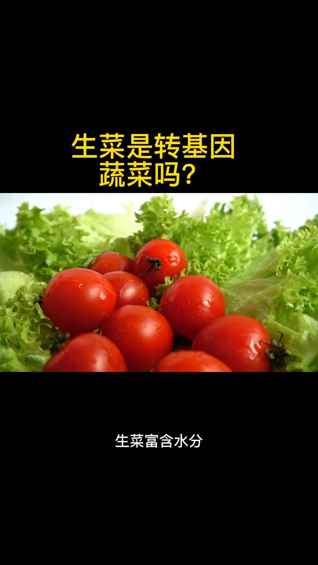 生菜是转基因蔬菜吗?