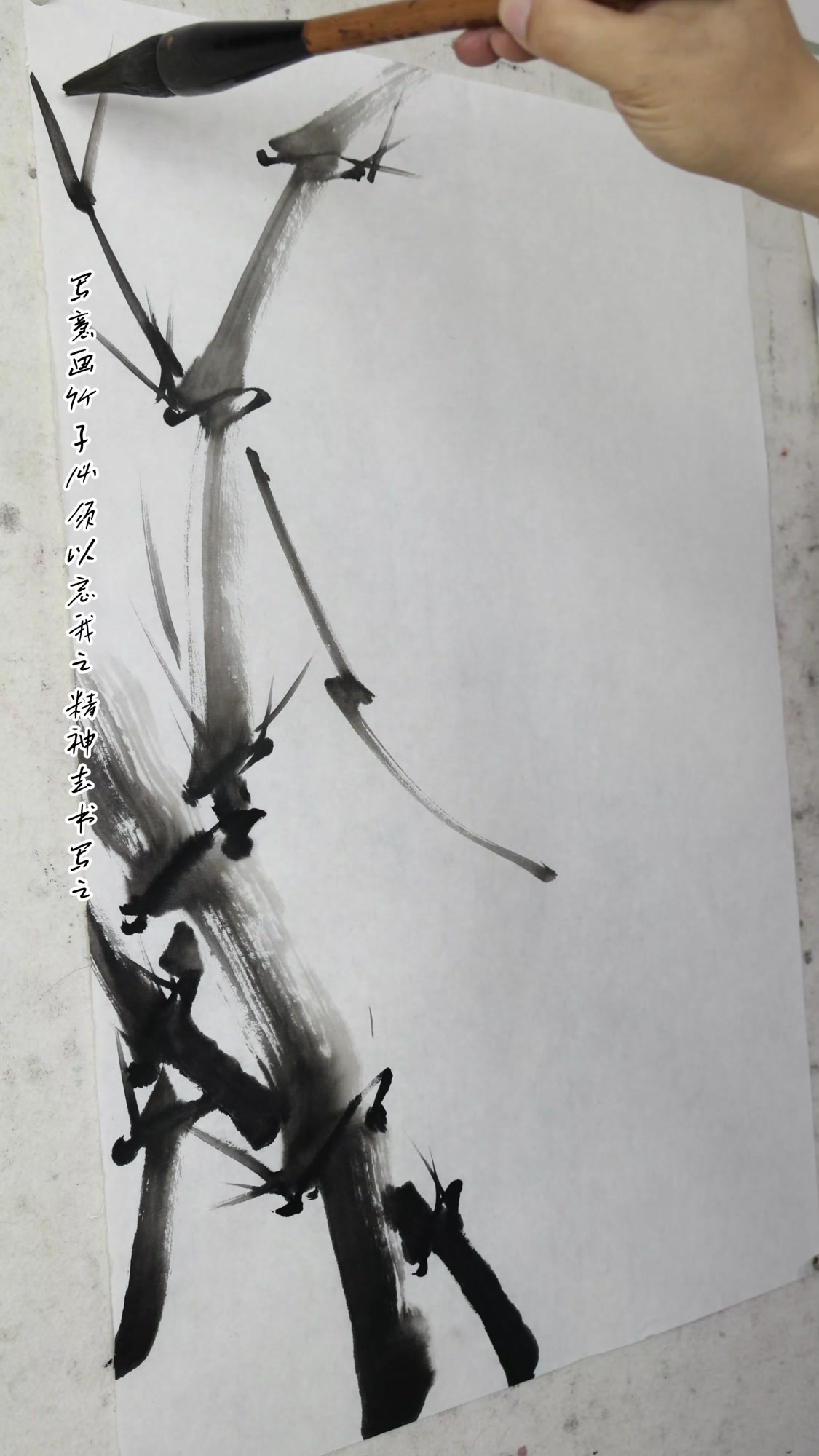 曾靖国画教程教学写意花鸟画竹子的画法现场讲解示范