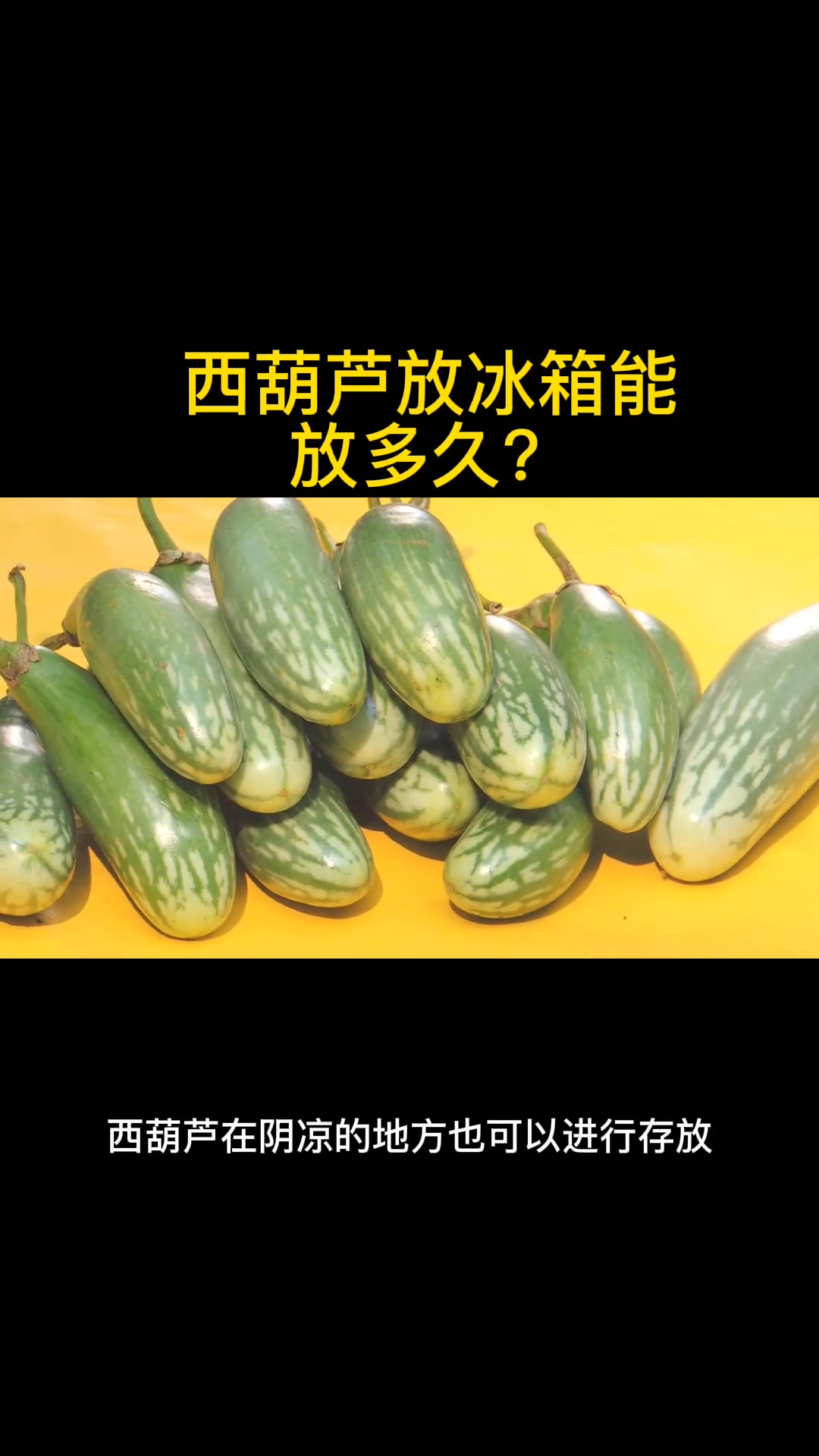 西葫芦放冰箱能放多久?