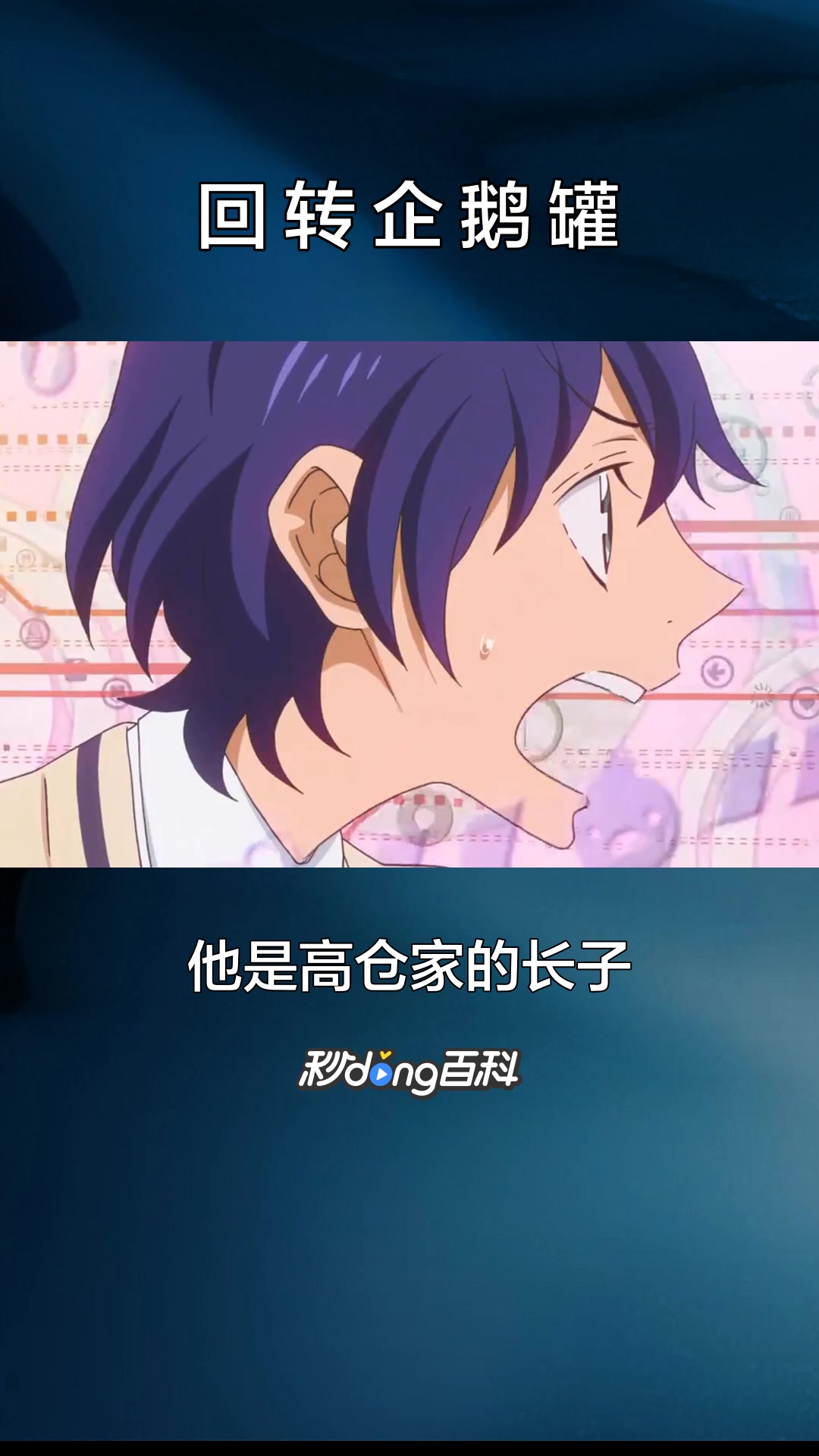 一分钟了解动画作品回转企鹅罐
