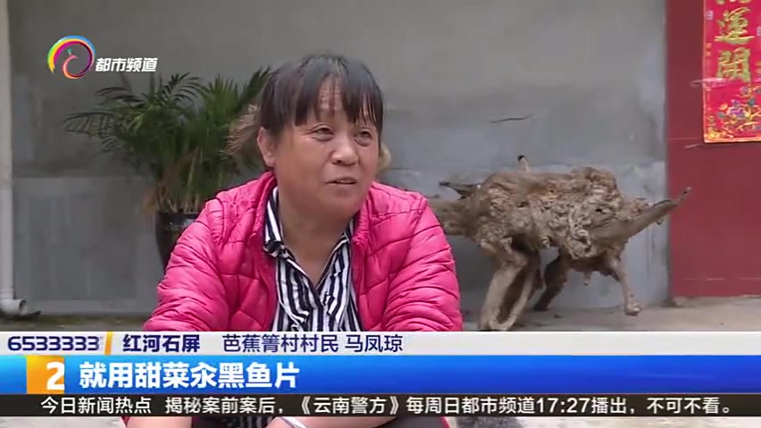 【云南野菜中的奢侈品是啥 一户村民靠它能年入十万】这个季节,野菜是不少云南人的心头爱,说起