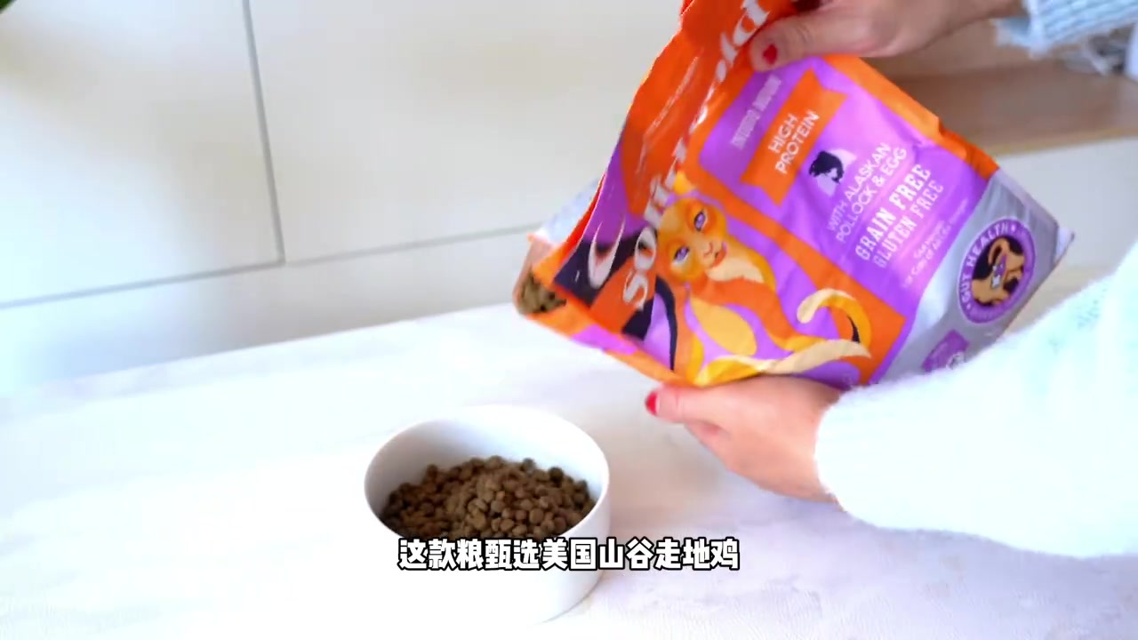 #我的猫不干人事# 布偶猫是我养过最狗的猫,跟踪恐吓其他猫,口吐芬芳,对其他猫围追堵截,没