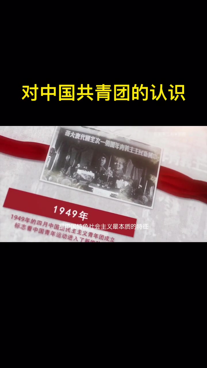 对中国共青团的认识
