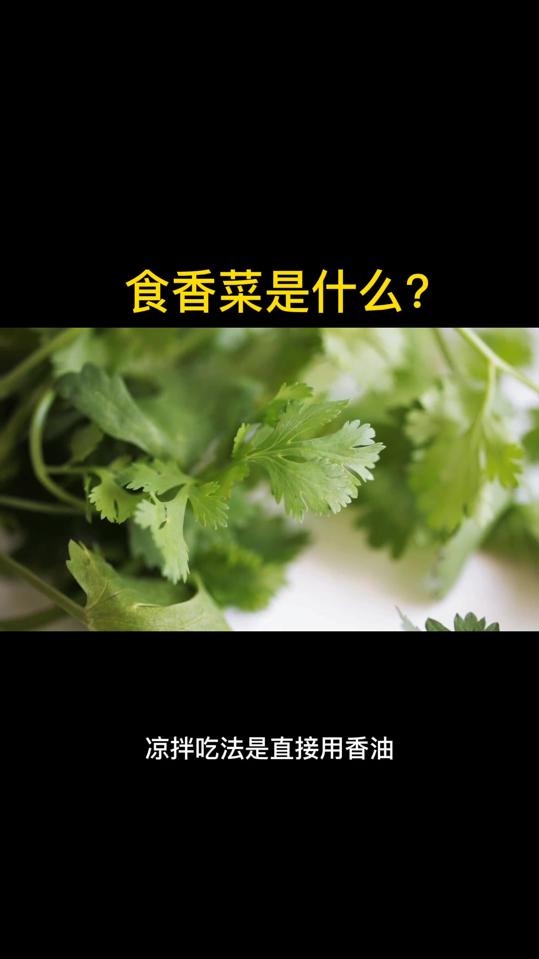 食香菜是什么? 