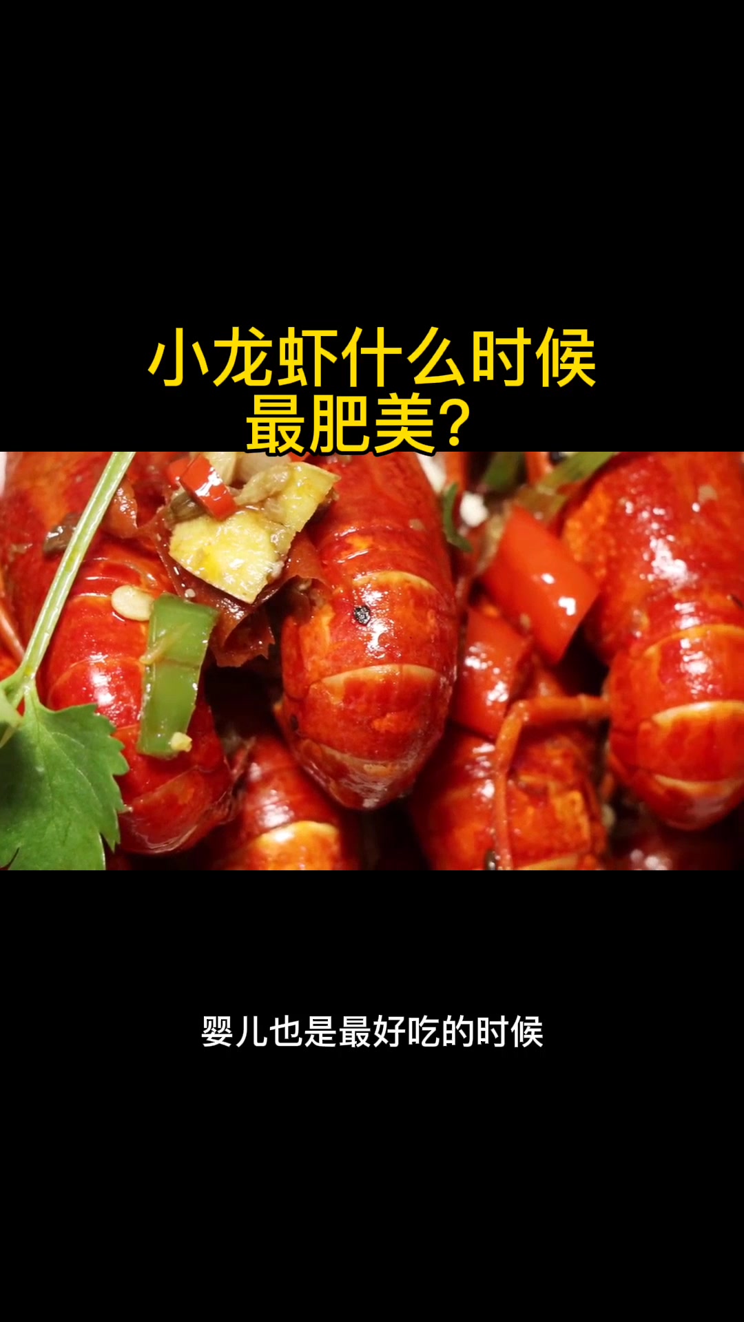 小龙虾什么时候最肥美?