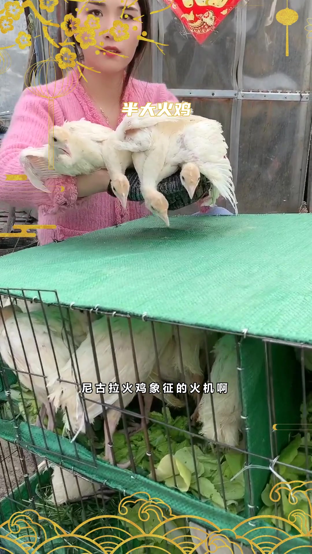 青铜火鸡