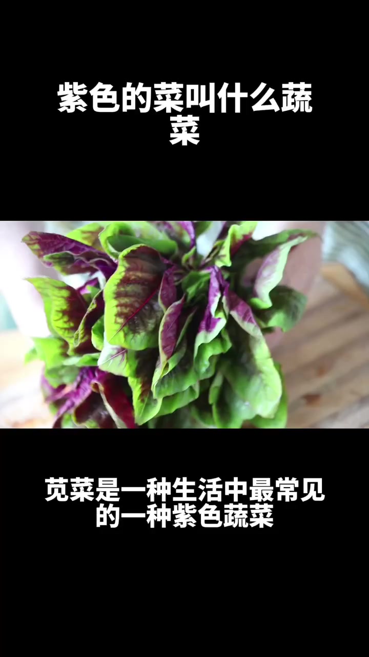 紫色的菜叫什么蔬菜