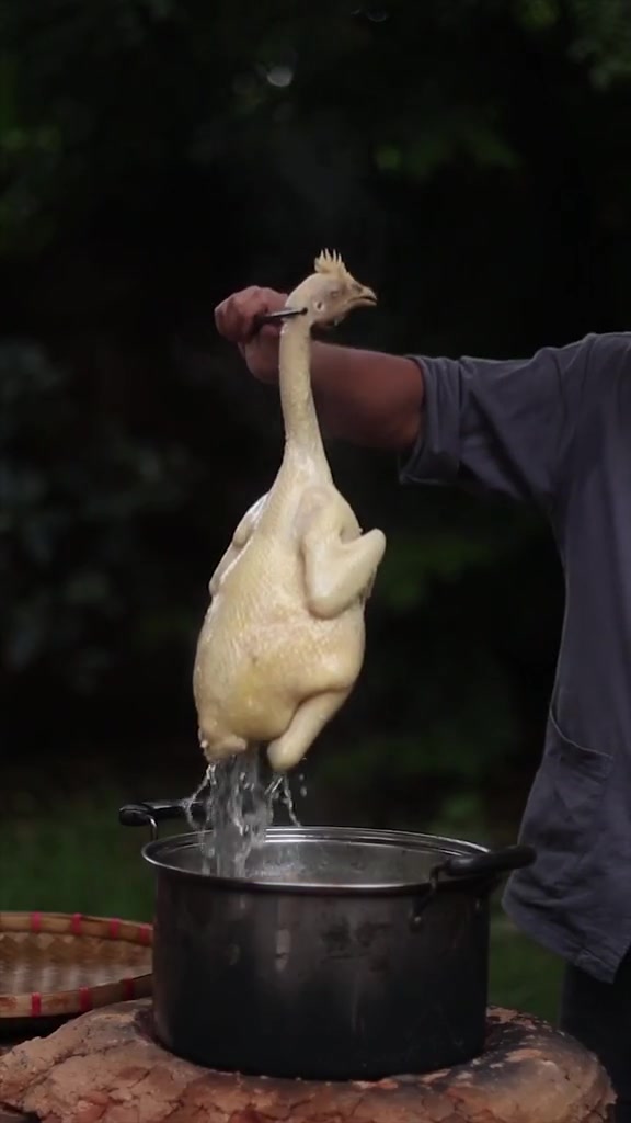 「湛江白切鸡」学会了点个赞,学废了来我家吃饭,你们学会了还是学废了?湛江白切鸡 美食 湛江