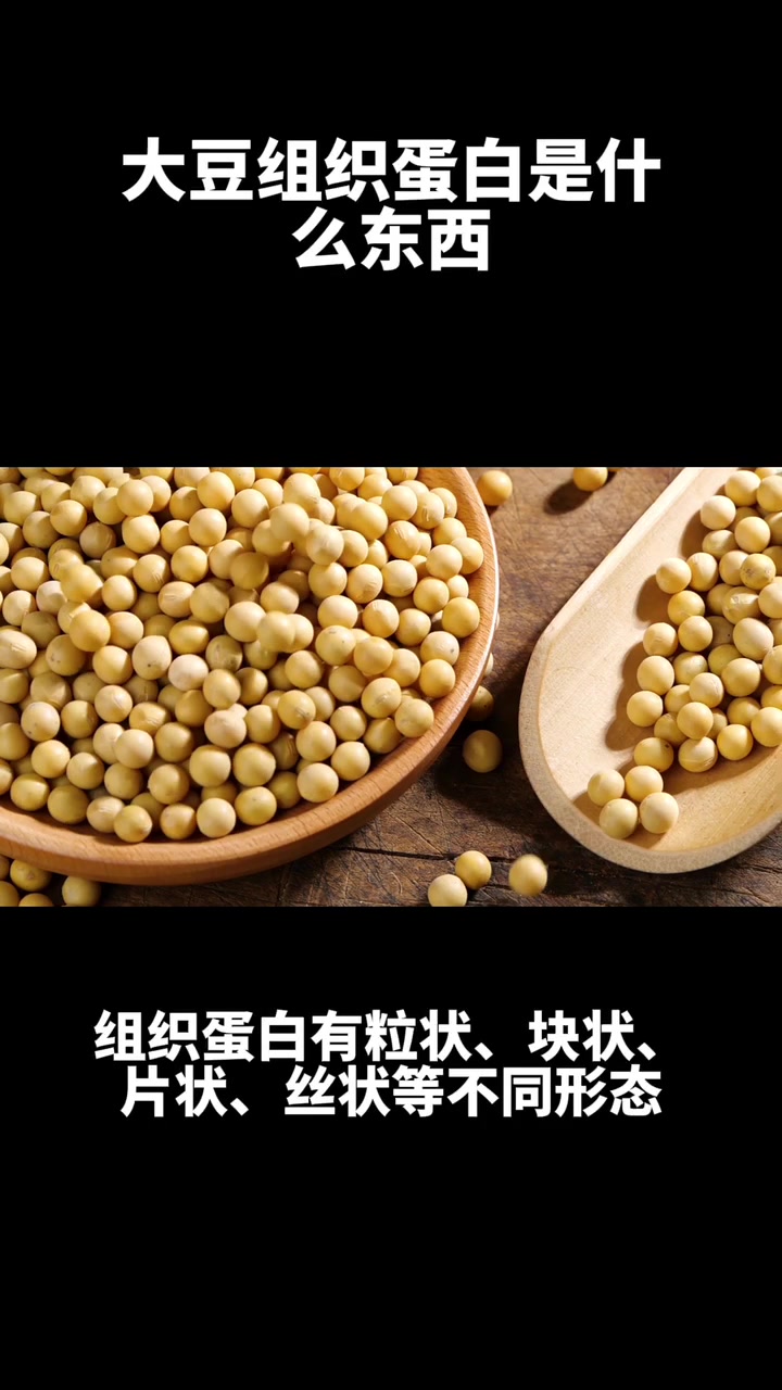 大豆组织蛋白是什么东西