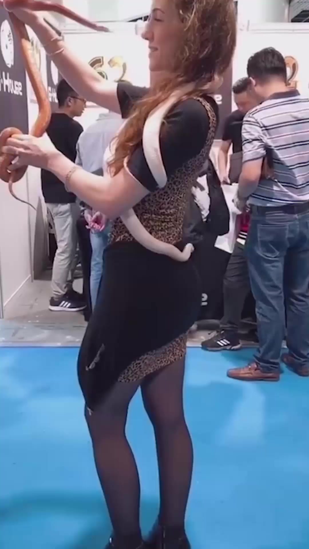 野鸡脖子蛇到底是有毒蛇,还是无毒蛇呢,看完长见识了!