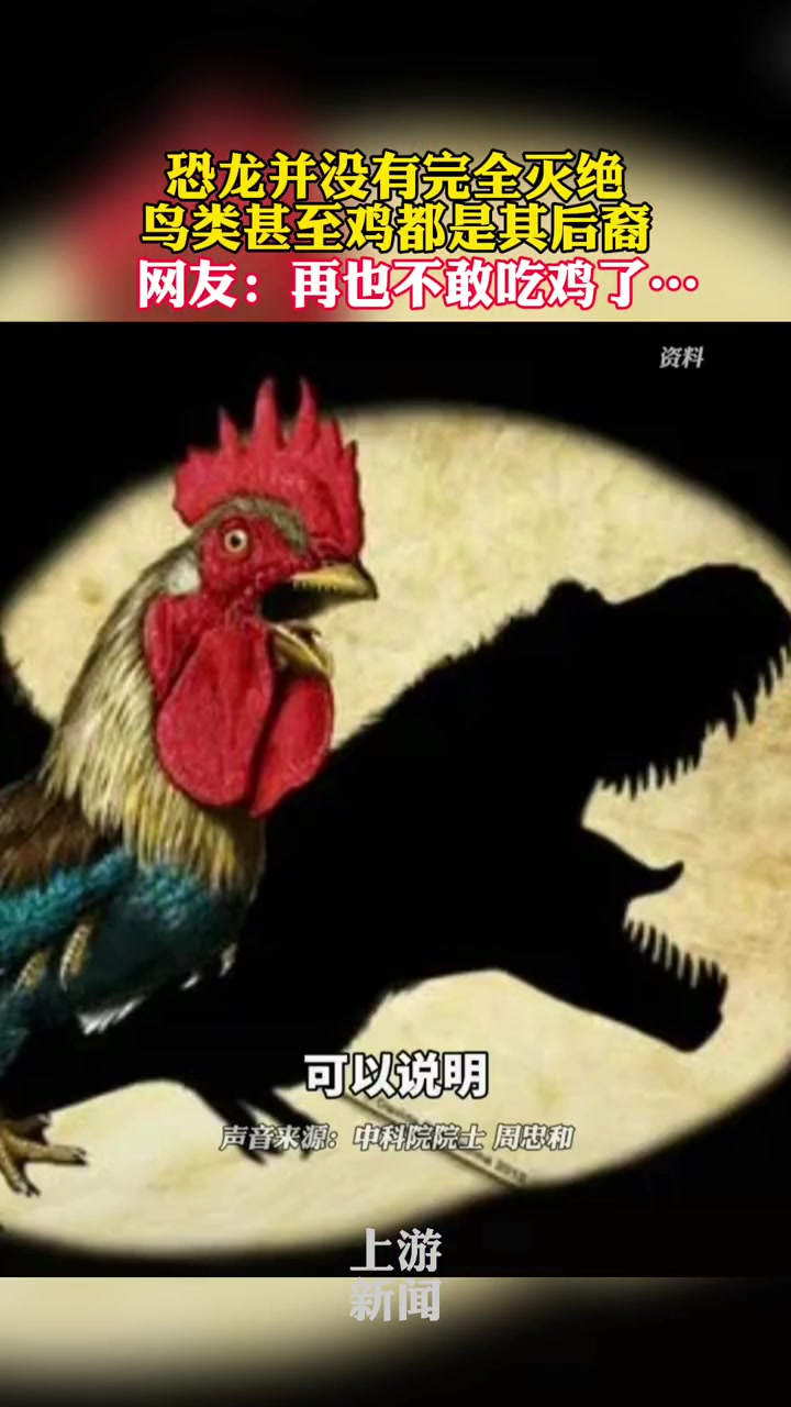 鸡是恐龙的后裔 恐龙没有完全灭绝,鸟类是其后裔,鸡又是从鸟类进化而来,奇怪的知识又增加了!