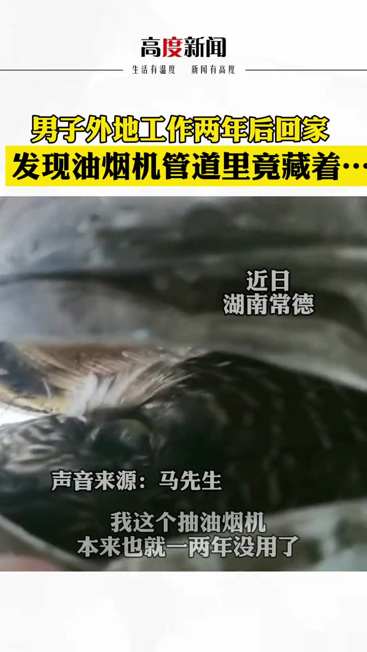 男子外地工作两年后回家,发现油烟机管道里竟藏着……