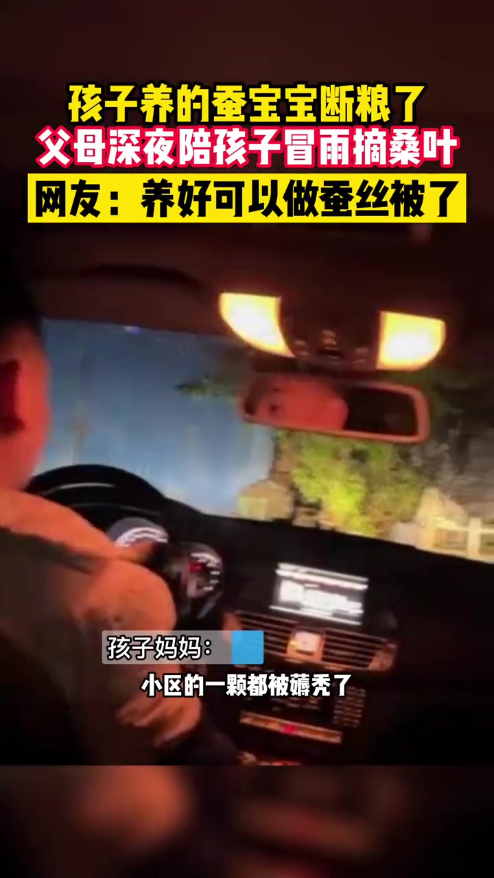 孩子养的蚕宝宝断粮了,父母深夜陪6岁孩子冒雨摘桑叶。网友:养好可以做蚕丝被了 父母深夜陪孩