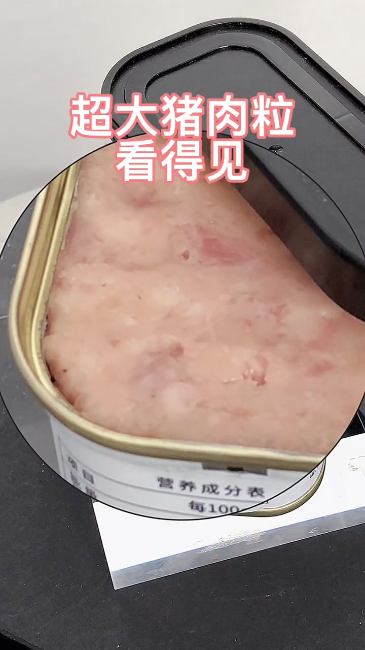 鲜香猪肉,每一口都能感受到大颗猪肉粒!老广的味道 火腿猪肉罐头