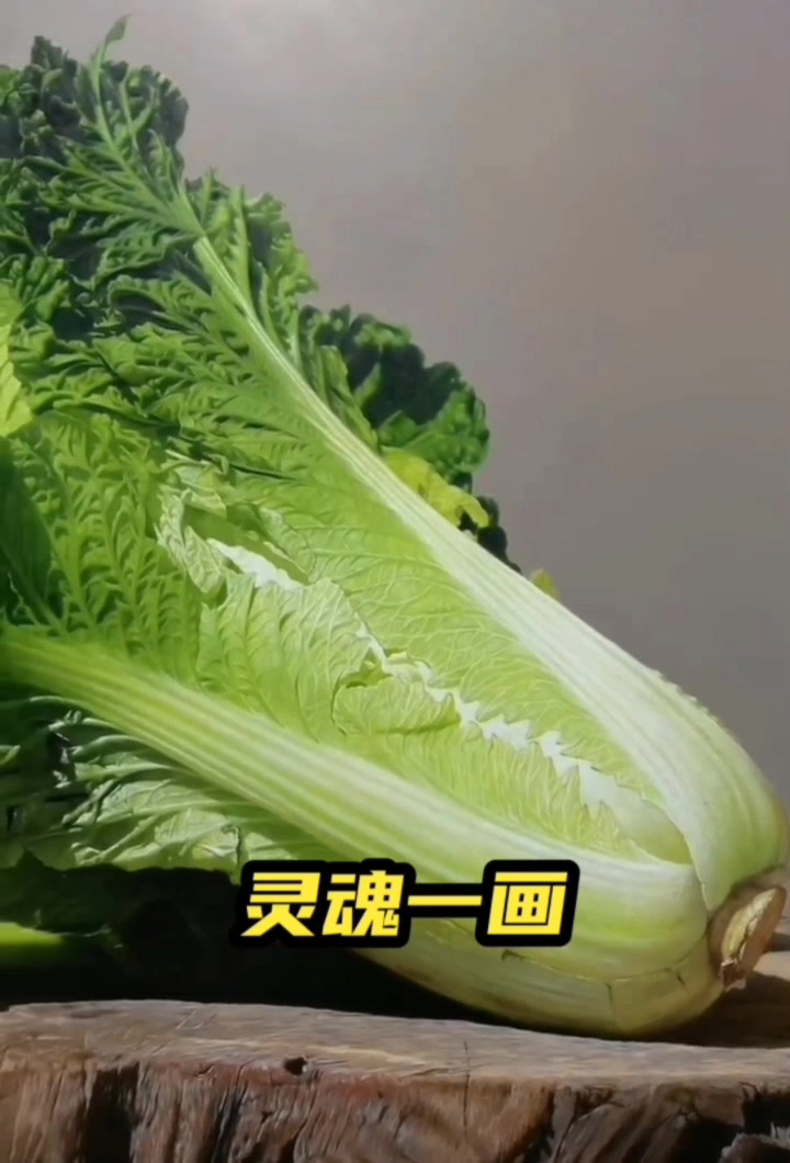 超写实油画作品〈灵魂一画〉白菜