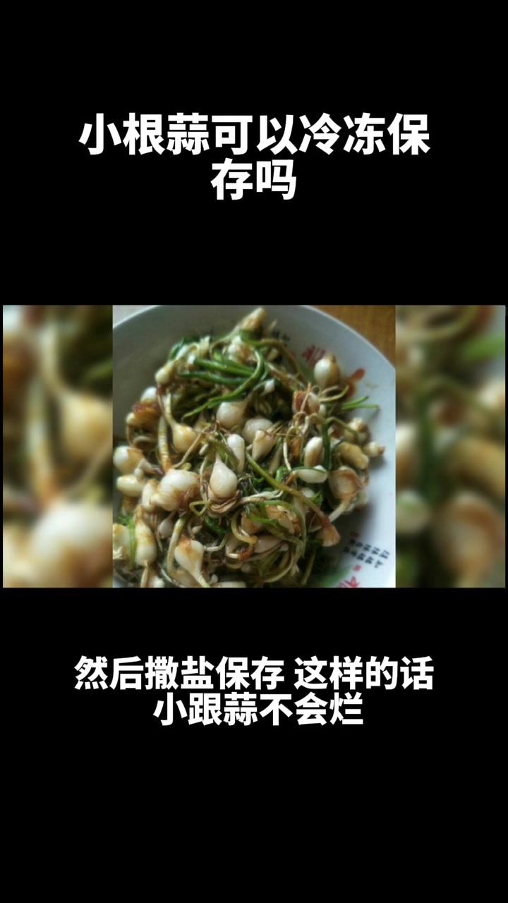小根蒜可以冷冻保存吗