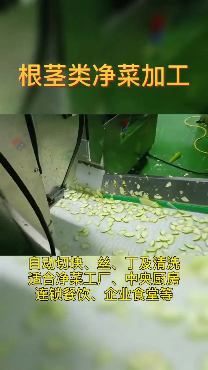 根茎类净菜加工设备,半成品菜加工流水线,预制菜加工成套设备