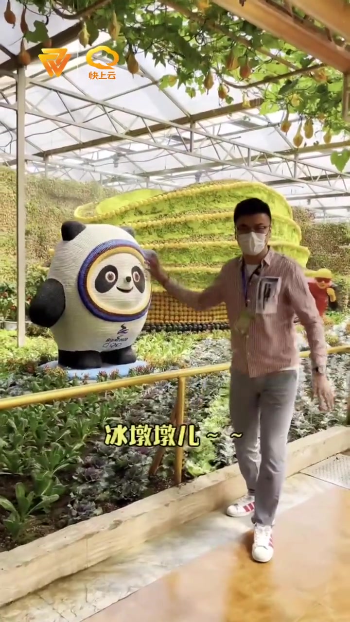寿光菜博会今日开幕,大聪哥带你“云”游园 潍坊 寿光菜博会