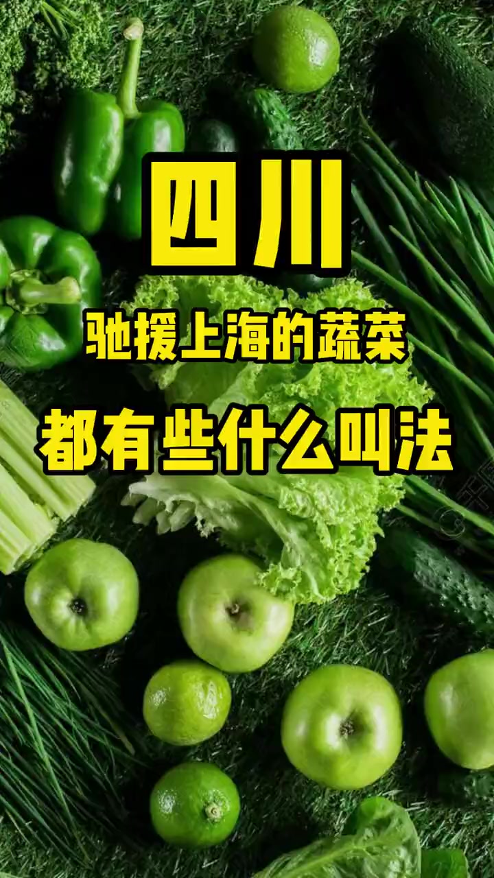 四川驰援上海的蔬菜陆续送达,好多蔬菜的名字都有多种叫法,你都认识吗?四川 驰援上海 蔬菜 