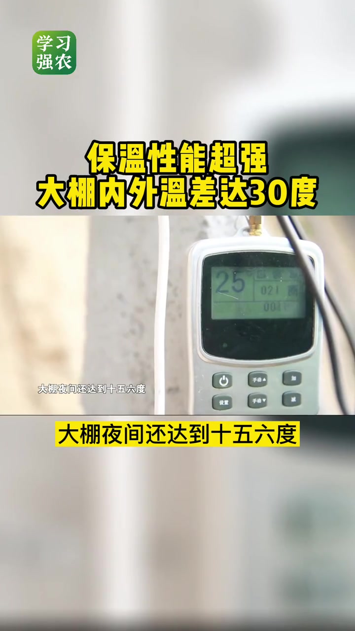 保温性能超强!这个大棚到了冬天内外温差能到30度&nbsp; 温室大棚