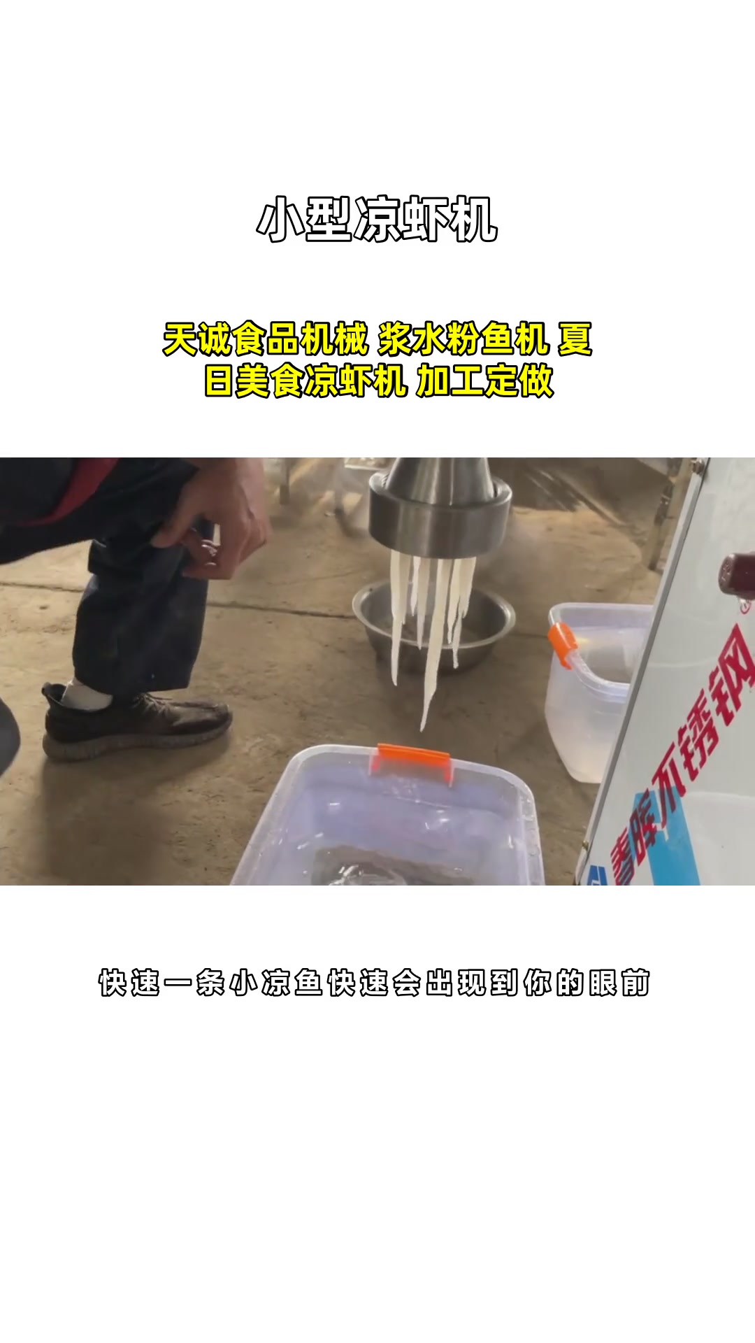 天诚食品机械 浆水粉鱼机 夏日美食凉虾机 加工定做