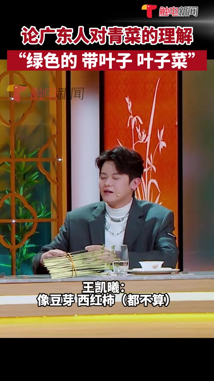 广东人眼中的青菜是什么?“绿色的!带叶子的!叶子菜!”,你眼中的青菜是什么样子的呢?广东人