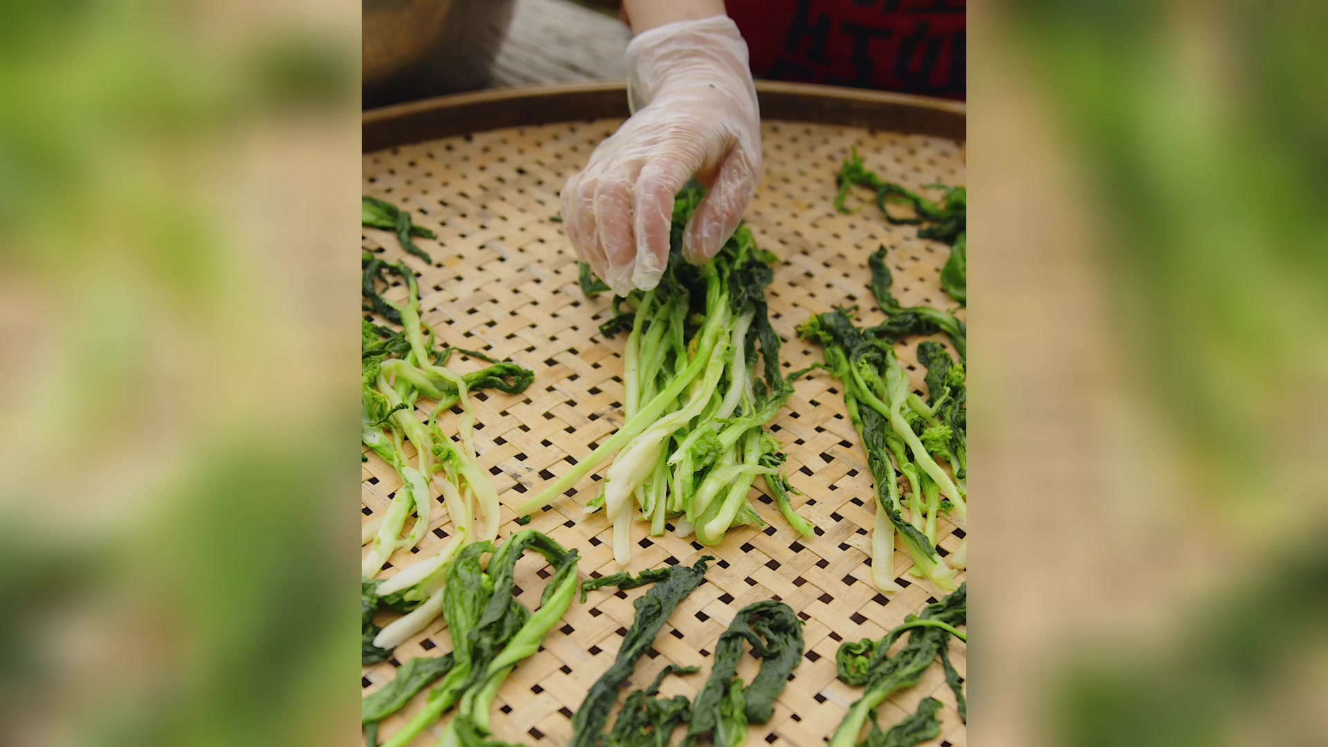 湖南盐菜制作全过程,开胃下饭又下汤,做包子馅蒸扣肉也不错