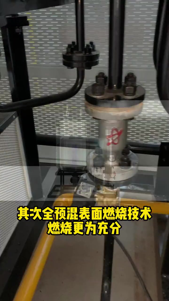 帕莱顿锅炉制造电加热生物质的蒸汽发生器,专业的师傅为您讲解