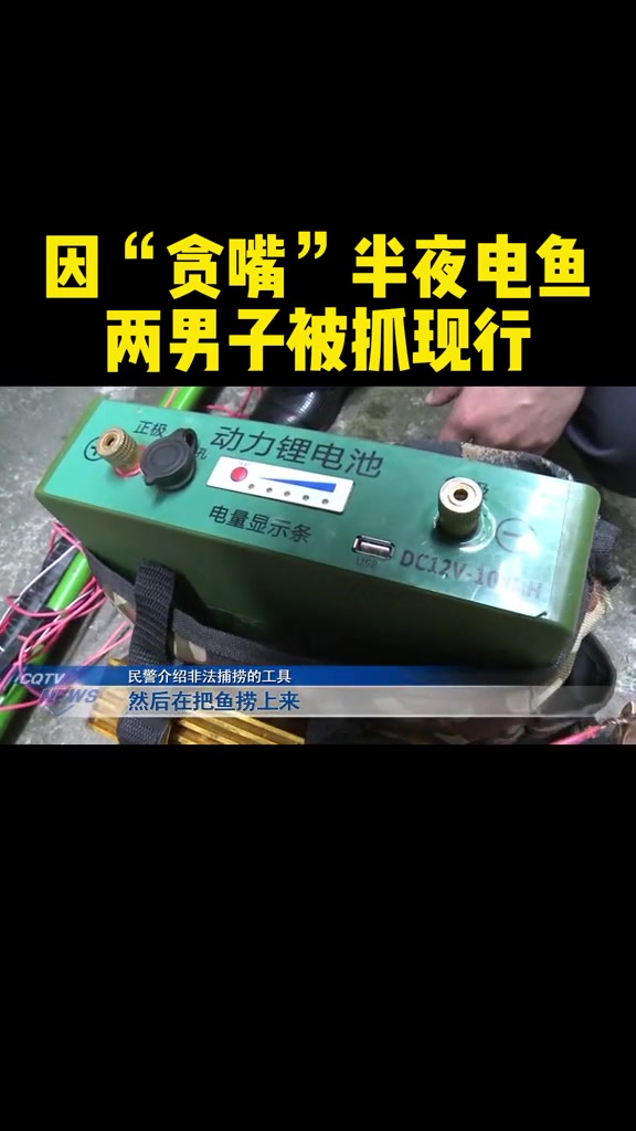 因为贪图野味,巴南区的两名男子戴上自制的电鱼工具,半夜三更下河非法捕捞野生鱼40斤,没想到