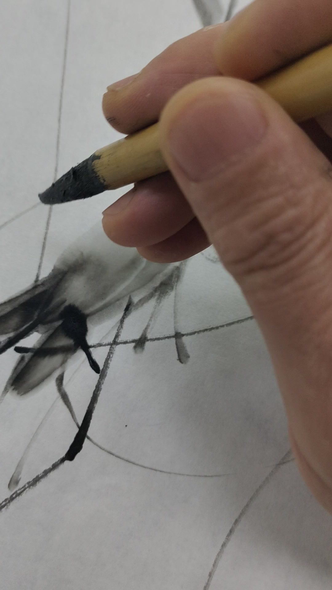 齐白石先生的水墨虾画法