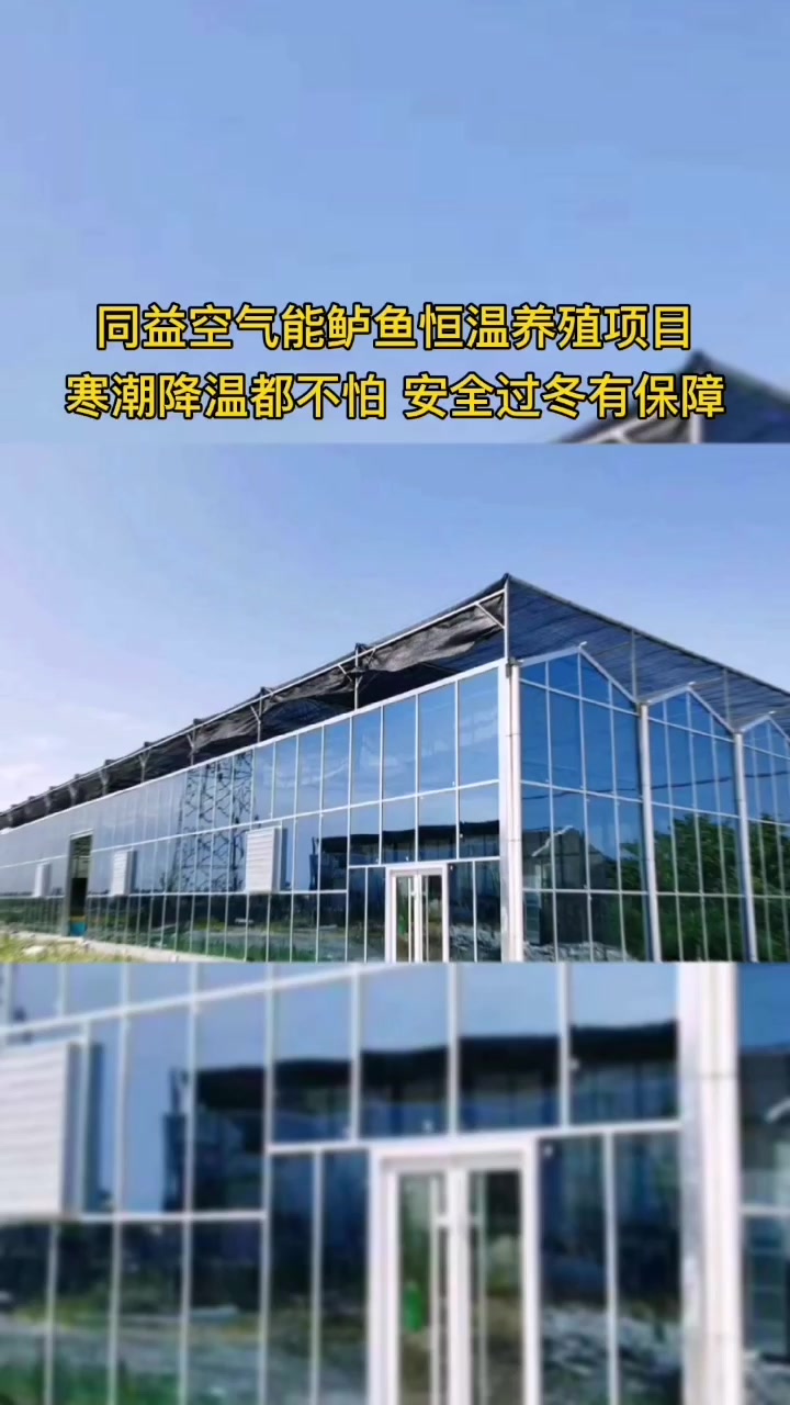 鲈鱼恒温养殖用空气能系统好用吗?