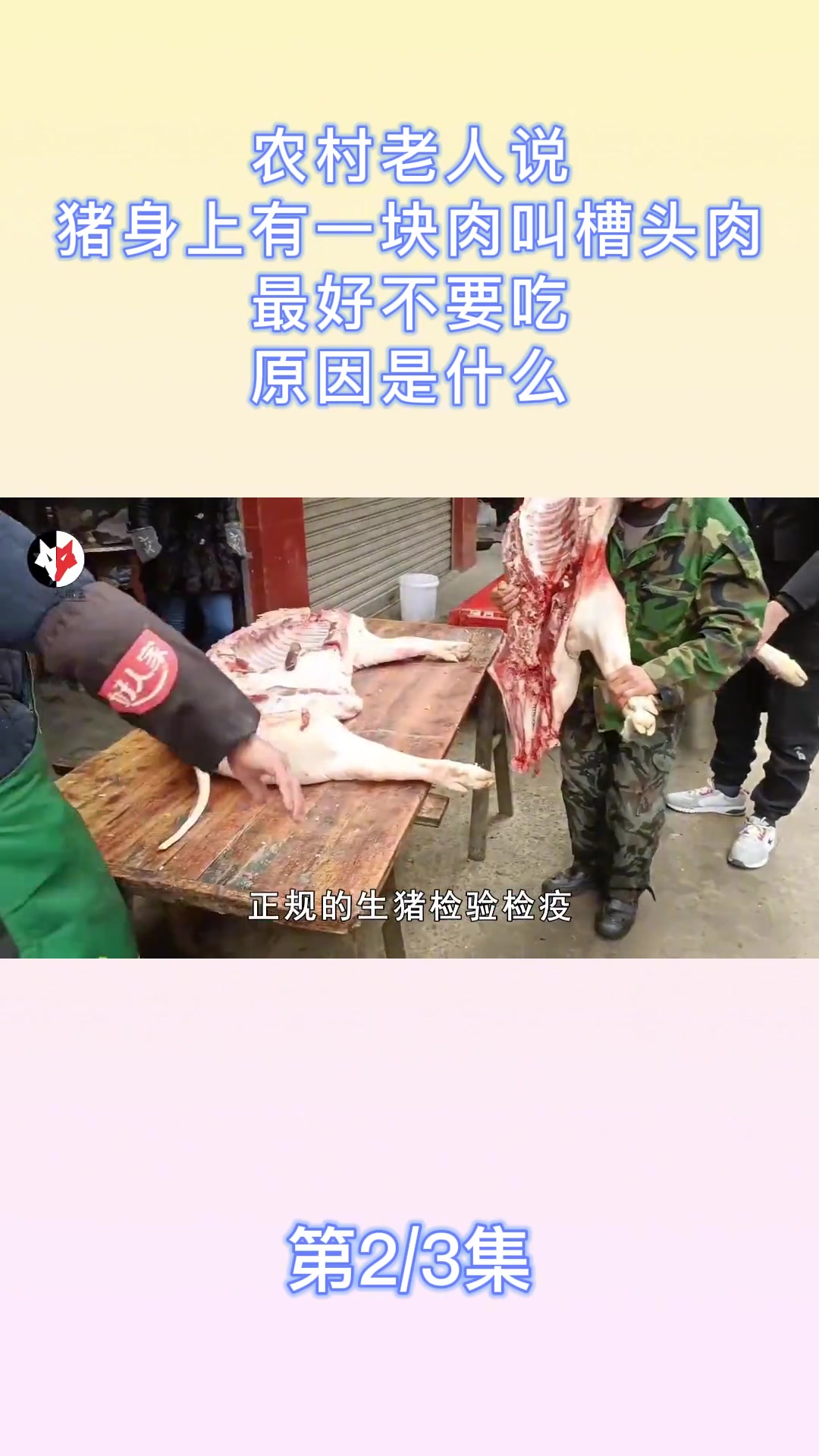 农村老人说,猪身上有一块肉叫槽头肉,最好不要吃,原因是什么?槽头肉 猪肉 动物知识