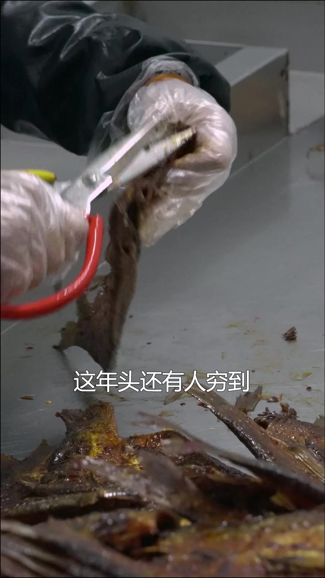 剪下的酱板鱼鱼鳍鱼尾鱼腮鱼骨头能吃吗