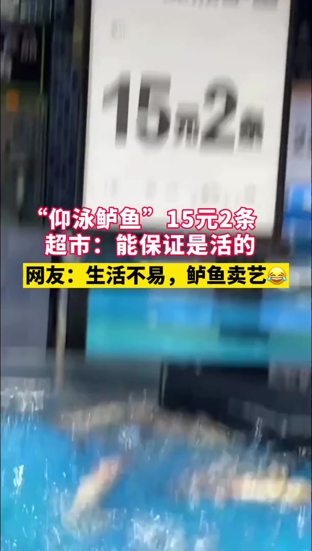 「视频」“仰泳鲈鱼”15元2条,超市:能保证是活的,网友的评论亮了……