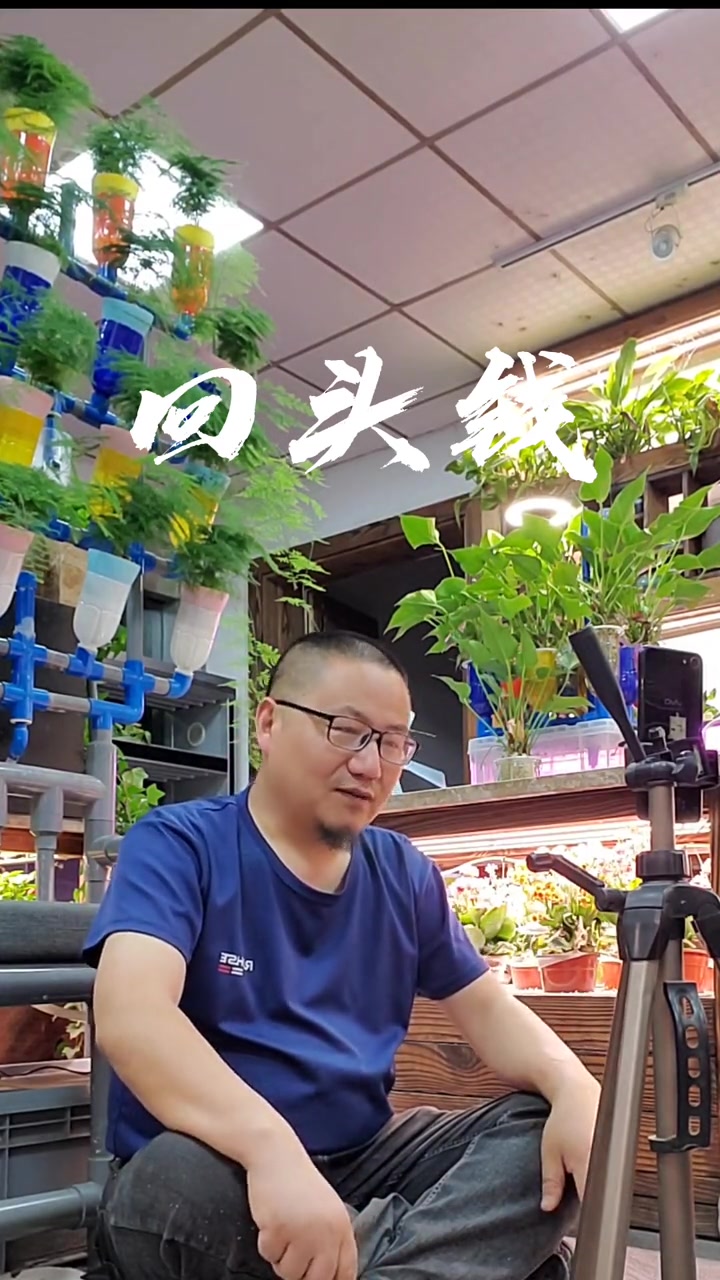 两个重要的点 鱼花共生 鱼菜共生 阳台鱼菜共生 鱼菜共生系统 家庭鱼菜共生