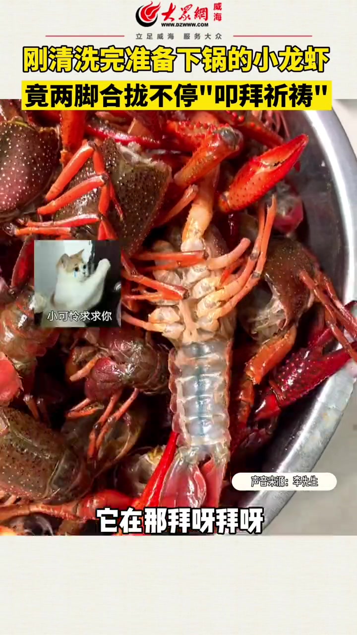 网友:好可怜呀,还不快做成麻辣的 这操作都看傻了 小龙虾的100种神仙吃法