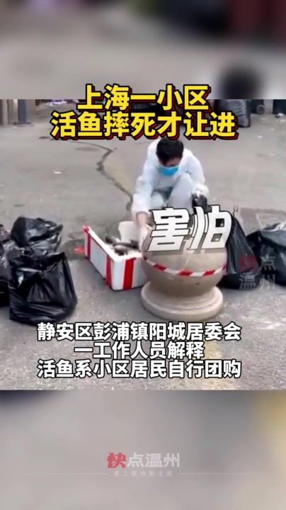 「39号视频」上海一小区活鱼摔死才让进