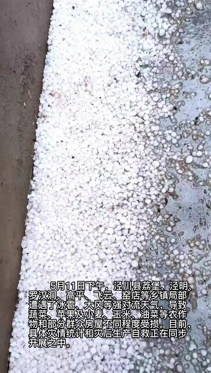第55集|5月11日下午,泾川县荔堡、泾明、罗汉洞、高平、飞云、窑店等乡镇局部遭遇了冰雹、