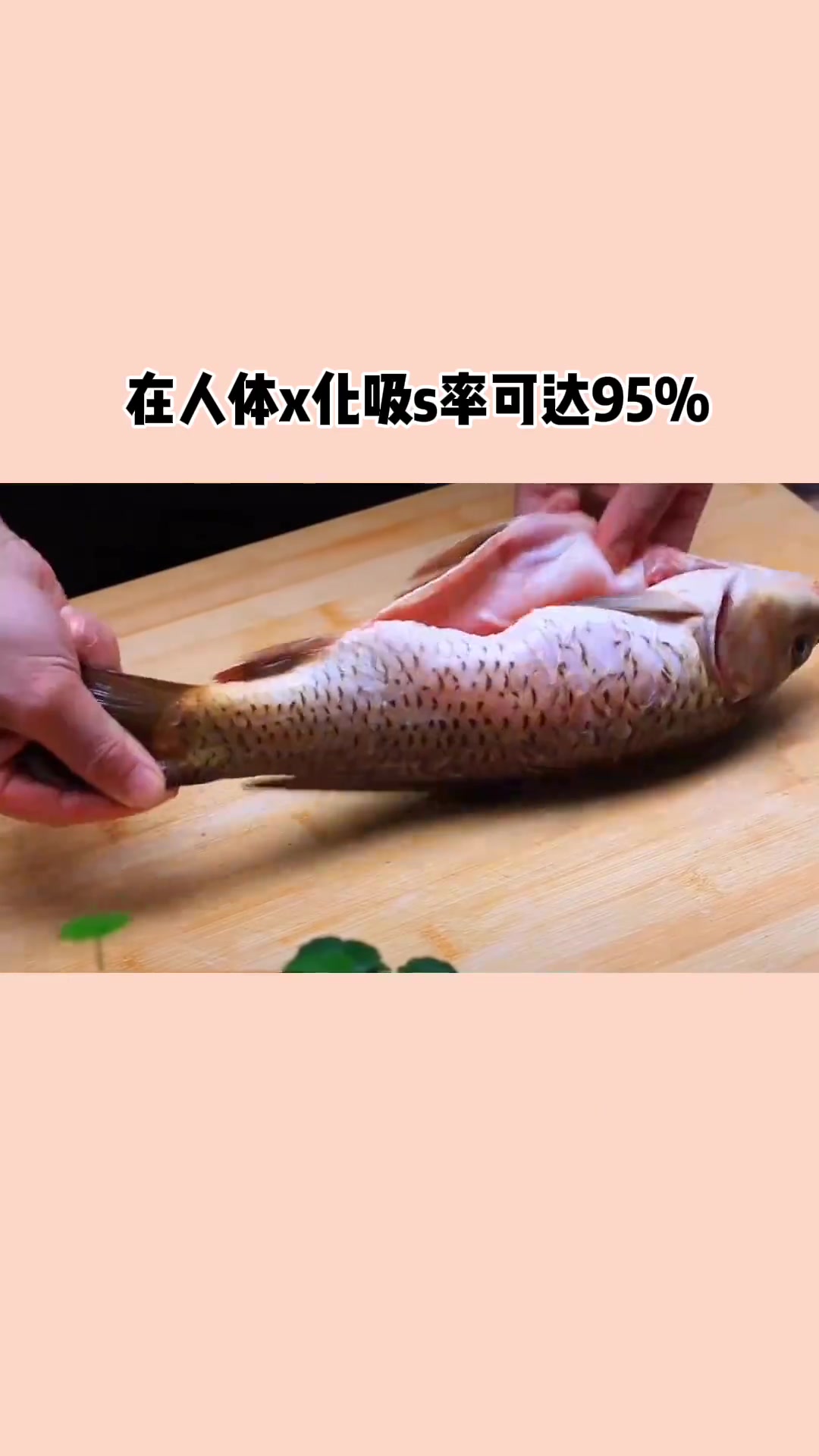 鲤鱼的蛋白质易被人体吸收,同时脂肪含量较低