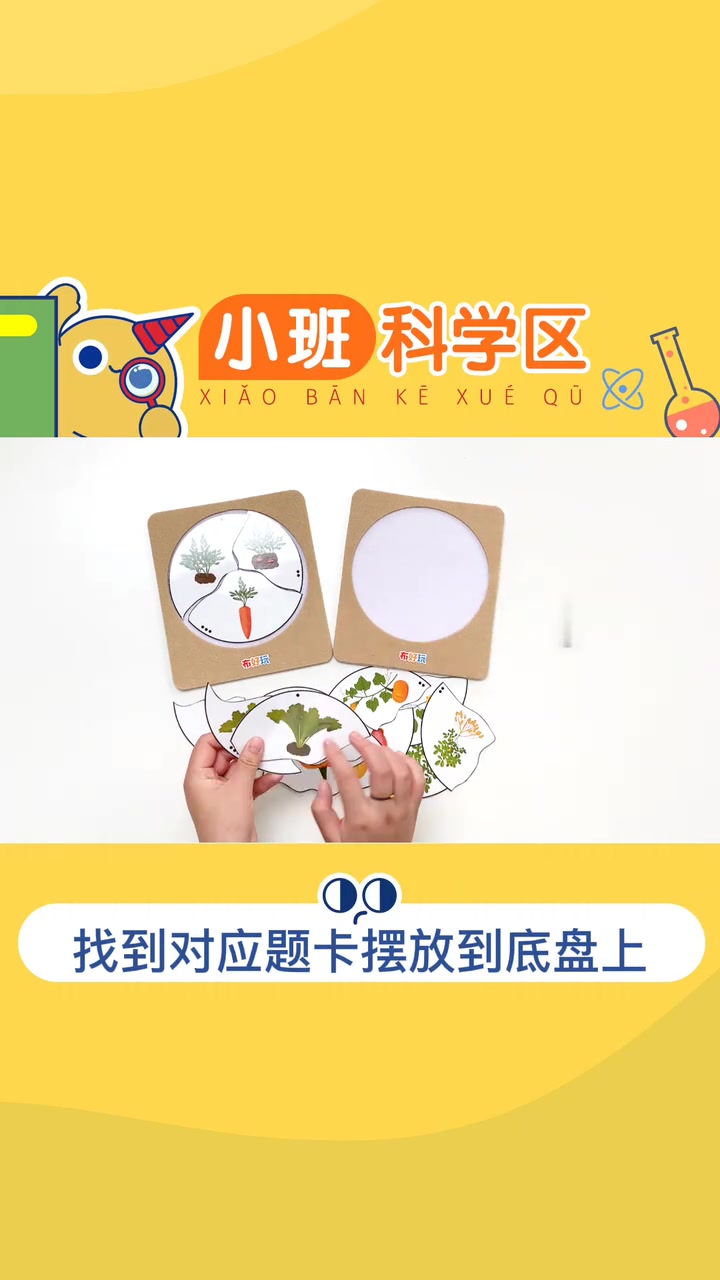 幼儿园《植物生长三部曲》让幼儿了解植物的生长过程